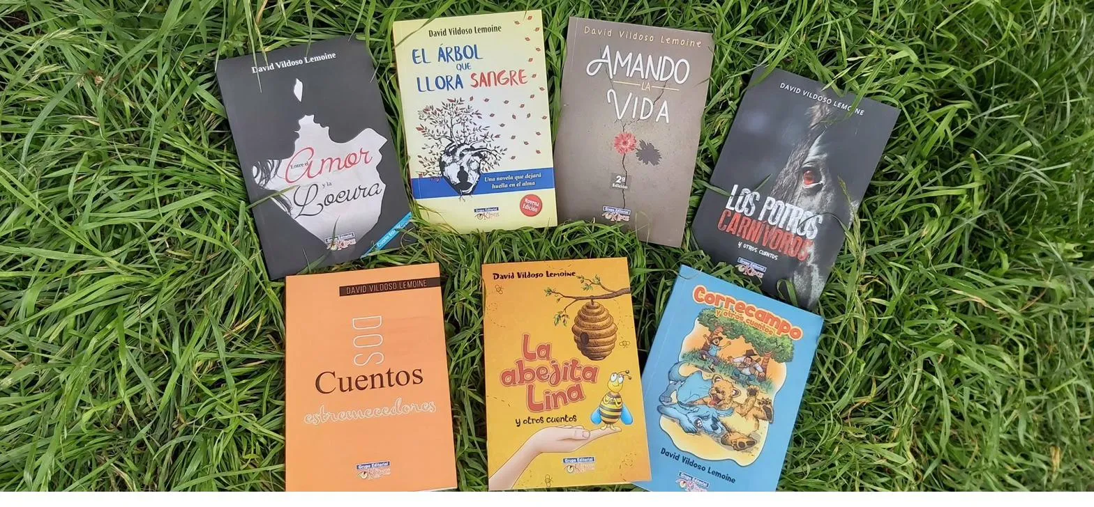 Complete collection of David Vildoso Lemoine's books displayed on grass